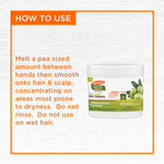 Olive Oil Gro Therapy usage instructions alongside product jar.