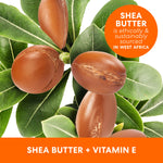 Raw Shea Nourish Body Oil label with shea nuts and leaves.