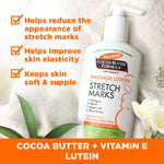 Complete Pregnancy Stretch Mark Care Kit with key ingredients and benefits highlighted.