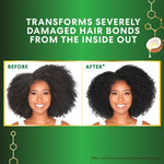 Before and after using Bond Repair Complex Shampoo.
