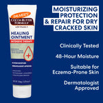  Palmer's Cocoa Butter Formula Healing Ointment tube with text on a blue background