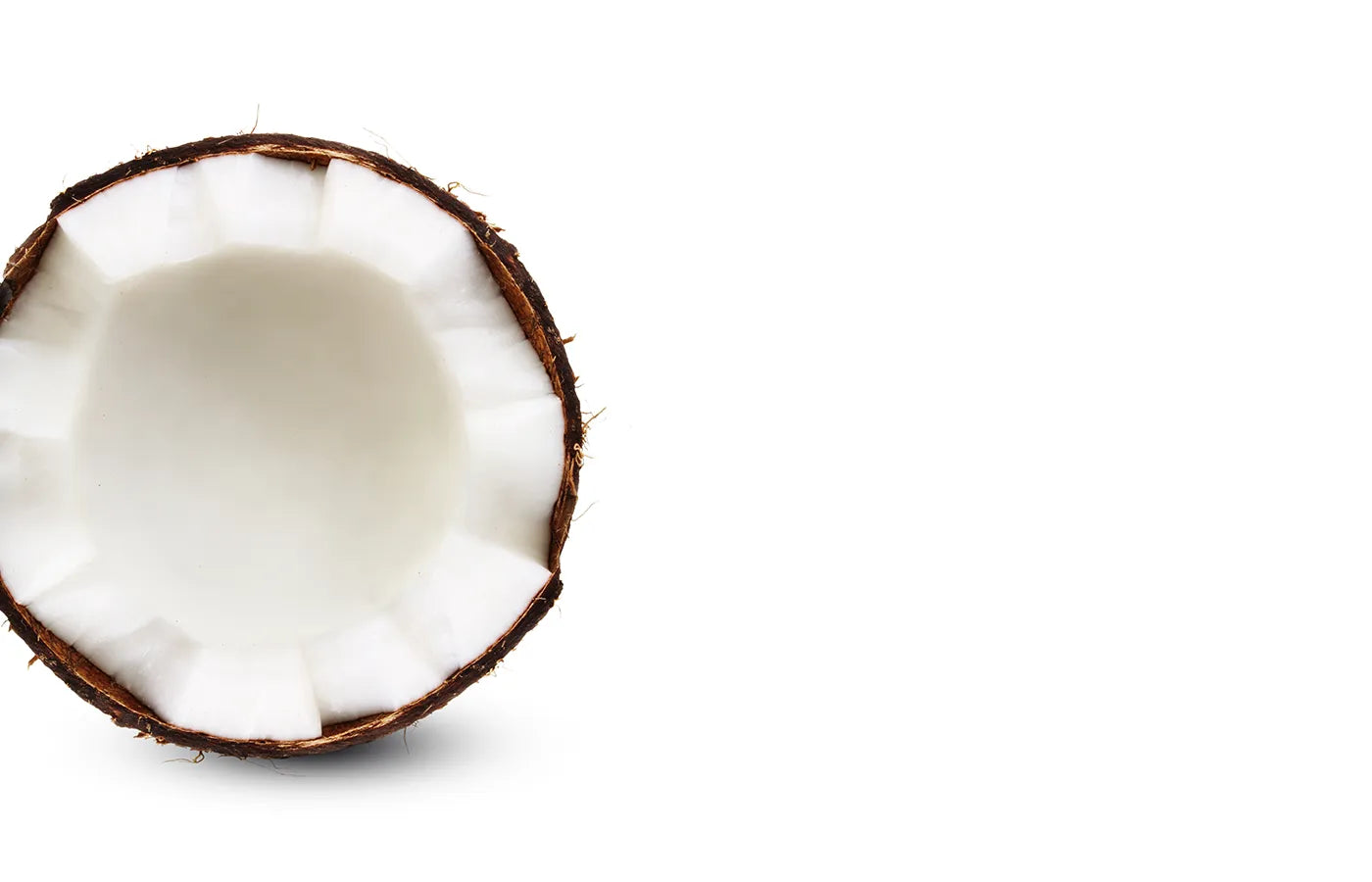 Half-cut coconut on a white background